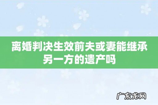 离婚判决生效前夫或妻能继承另一方的遗产吗