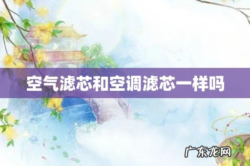 空气滤芯和空调滤芯一样吗