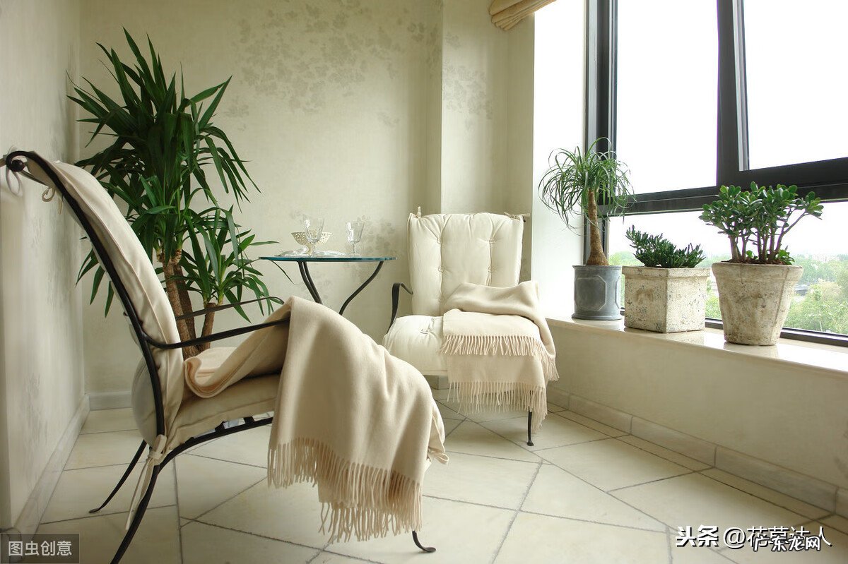 顶楼露台适合养花吗 阳台养花风水