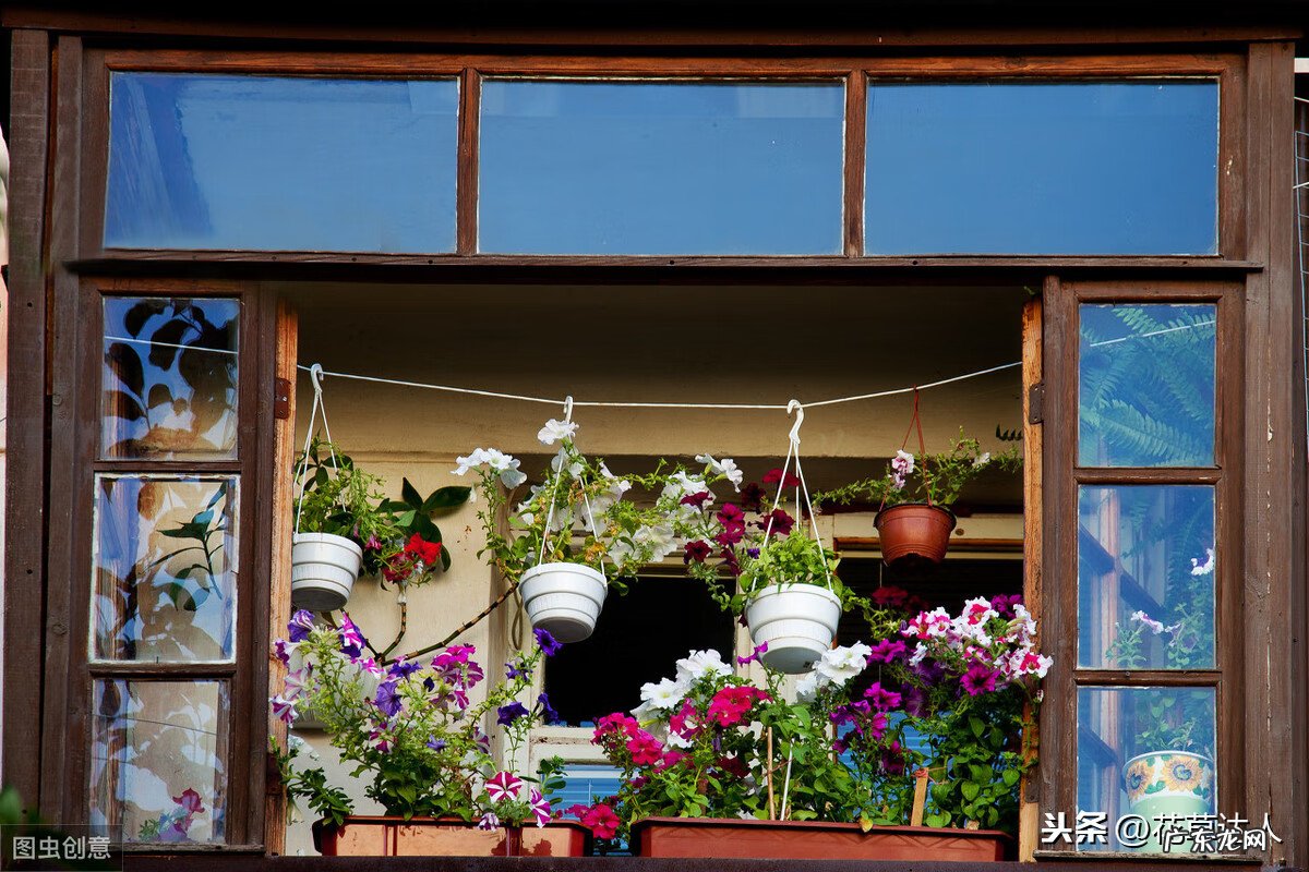 顶楼露台适合养花吗 阳台养花风水