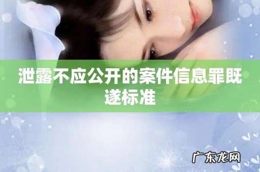 泄露不应公开的案件信息罪既遂标准