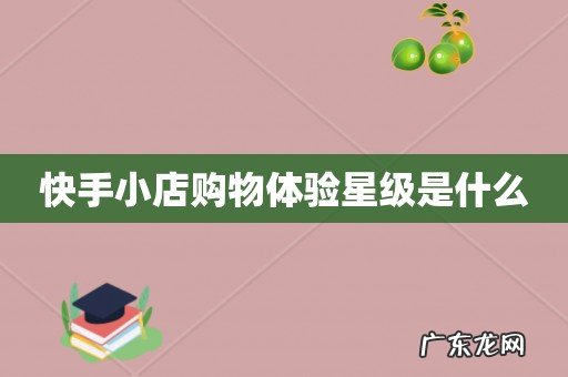 快手小店购物体验星级是什么