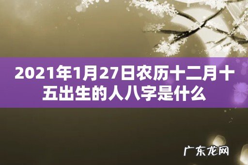 2021年1月27日农历十二月十五出生的人八字是什么