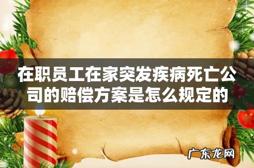在职员工在家突发疾病死亡公司的赔偿方案是怎么规定的