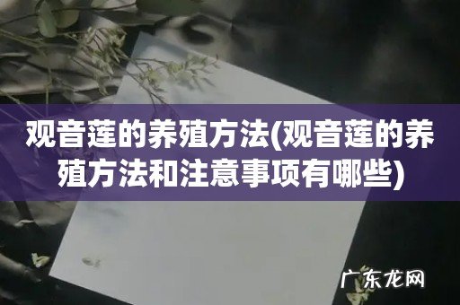 观音莲的养殖方法和注意事项有哪些 观音莲的养殖方法