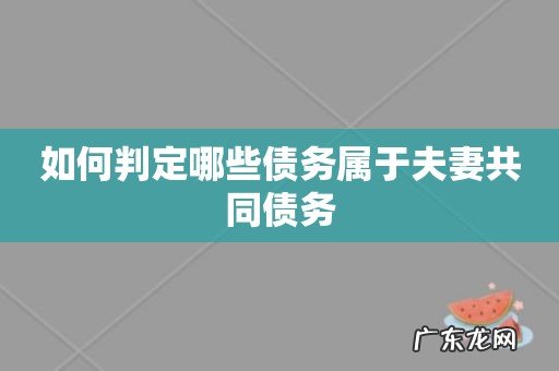 如何判定哪些债务属于夫妻共同债务