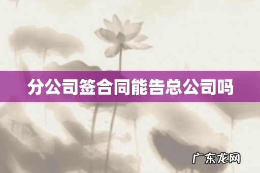 分公司签合同能告总公司吗