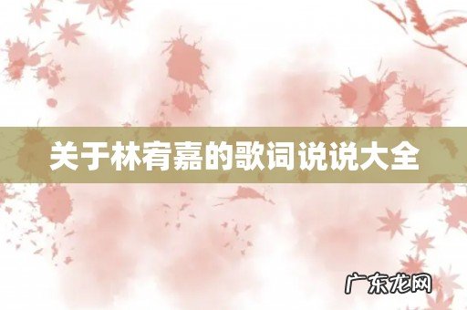 关于林宥嘉的歌词说说大全