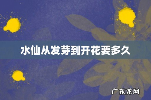 水仙从发芽到开花要多久