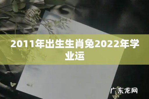 2011年出生生肖兔2022年学业运