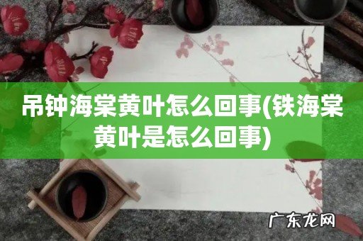铁海棠黄叶是怎么回事 吊钟海棠黄叶怎么回事