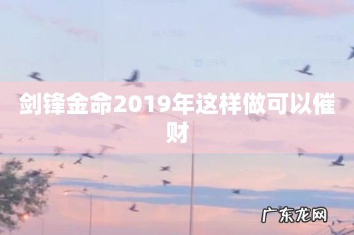 剑锋金命2019年这样做可以催财