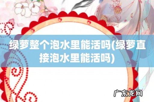 绿萝直接泡水里能活吗 绿萝整个泡水里能活吗