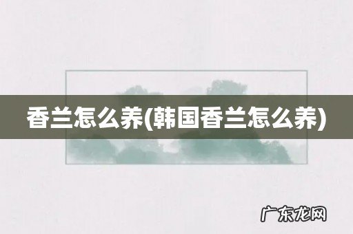 韩国香兰怎么养 香兰怎么养