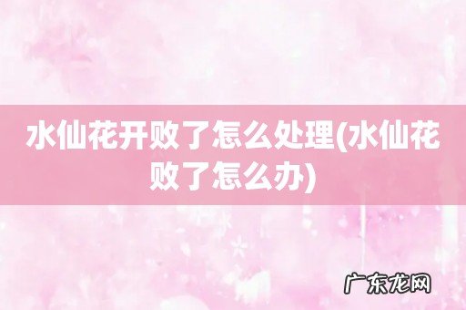 水仙花败了怎么办 水仙花开败了怎么处理