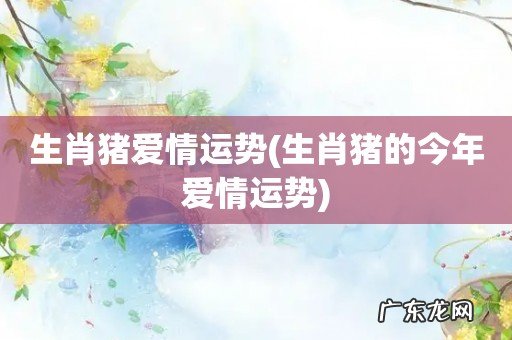 生肖猪的今年爱情运势 生肖猪爱情运势