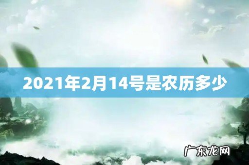 2021年2月14号是农历多少