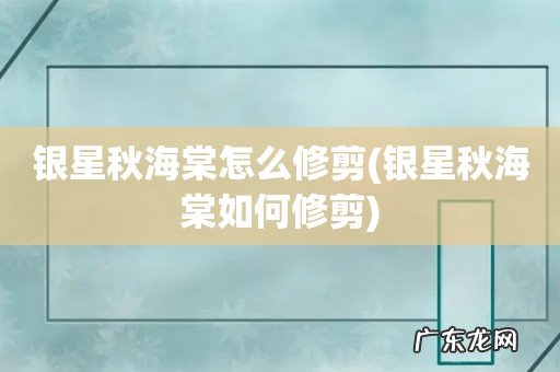 银星秋海棠如何修剪 银星秋海棠怎么修剪