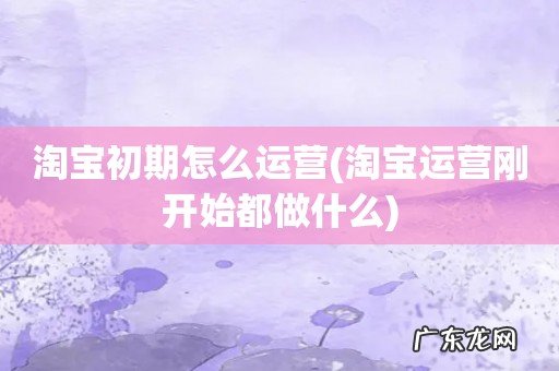 淘宝运营刚开始都做什么 淘宝初期怎么运营