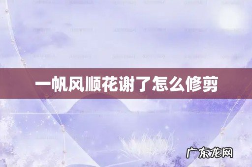 一帆风顺花谢了怎么修剪