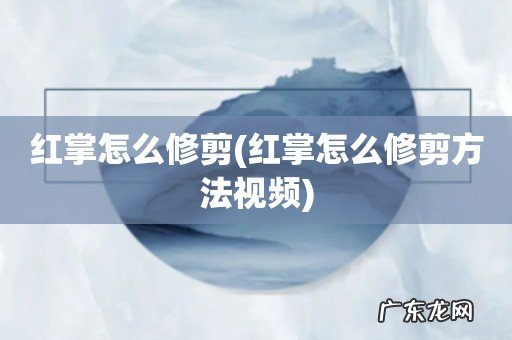 红掌怎么修剪方法视频 红掌怎么修剪