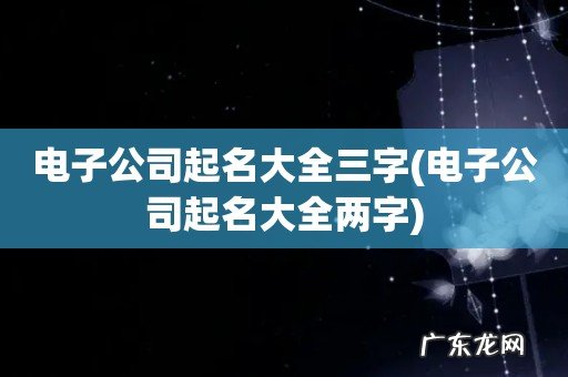电子公司起名大全两字 电子公司起名大全三字