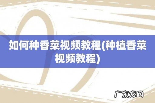 种植香菜视频教程 如何种香菜视频教程