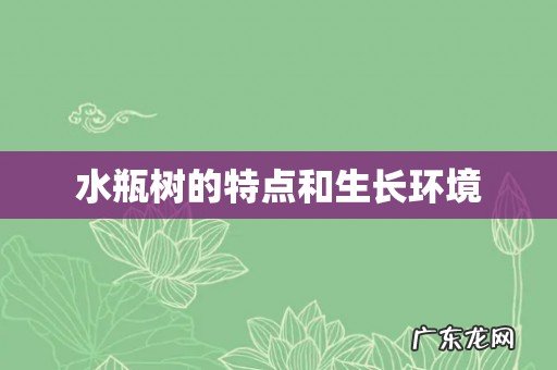 水瓶树的特点和生长环境