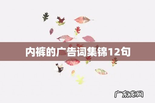 内裤的广告词集锦12句