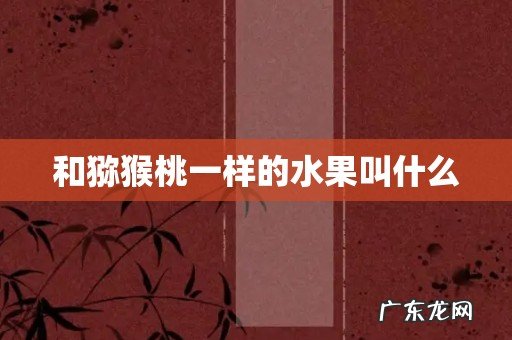 和猕猴桃一样的水果叫什么