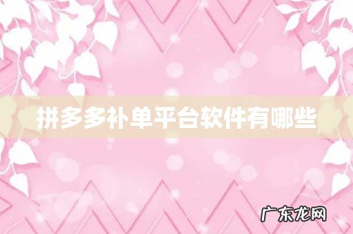 拼多多补单平台软件有哪些