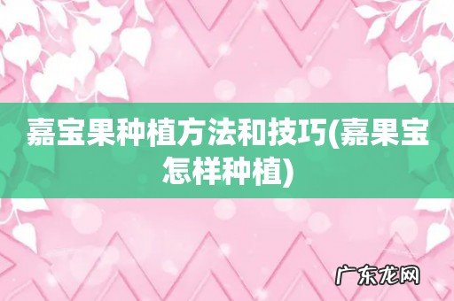 嘉果宝怎样种植 嘉宝果种植方法和技巧