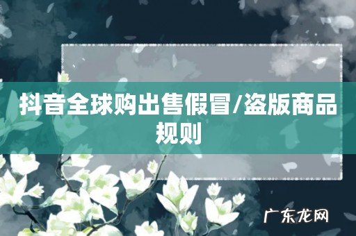 抖音全球购出售假冒/盗版商品规则