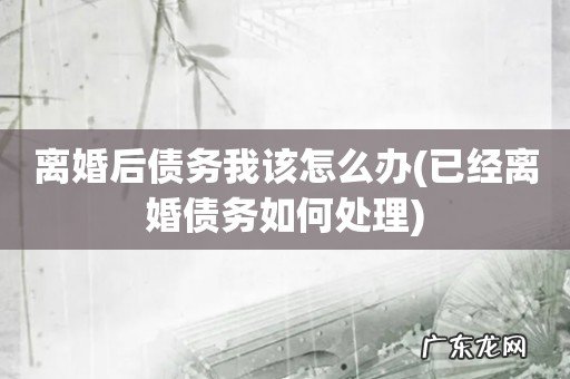 已经离婚债务如何处理 离婚后债务我该怎么办