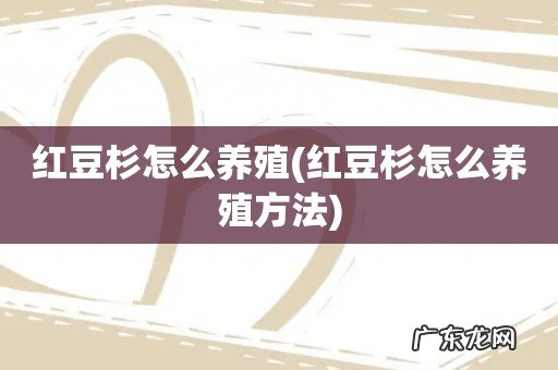 红豆杉怎么养殖方法 红豆杉怎么养殖