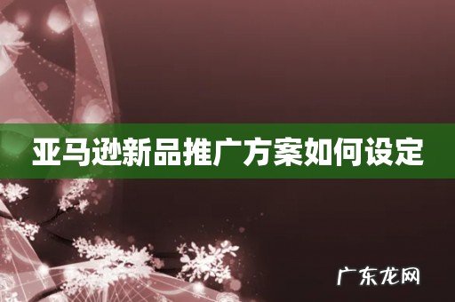亚马逊新品推广方案如何设定