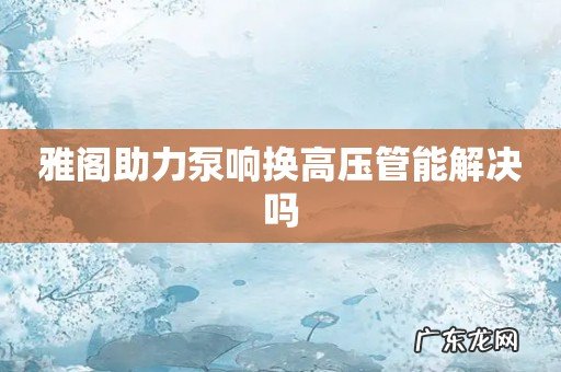 雅阁助力泵响换高压管能解决吗