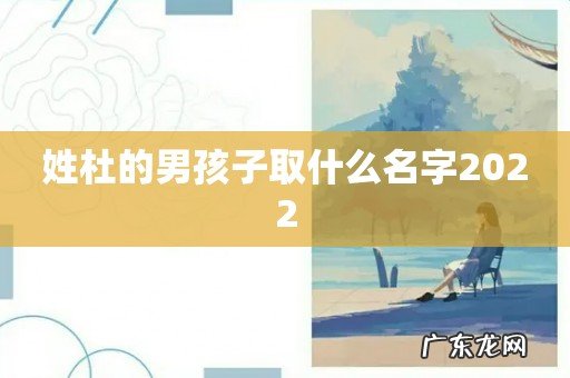 姓杜的男孩子取什么名字2022