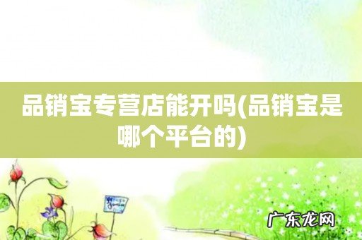 品销宝是哪个平台的 品销宝专营店能开吗