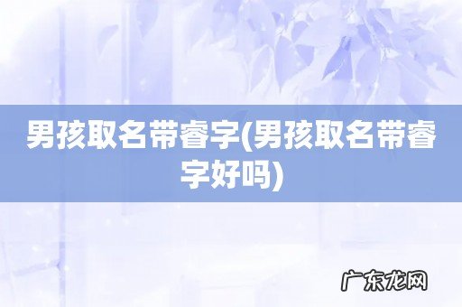 男孩取名带睿字好吗 男孩取名带睿字