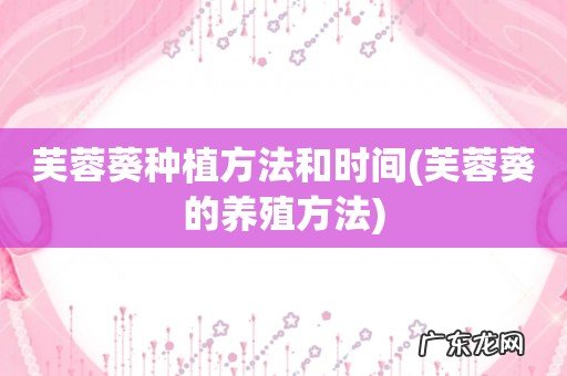 芙蓉葵的养殖方法 芙蓉葵种植方法和时间