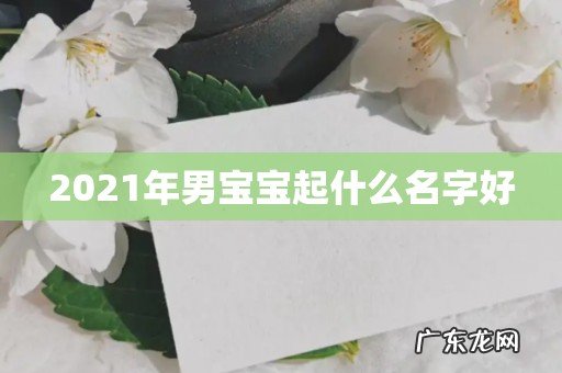 2021年男宝宝起什么名字好