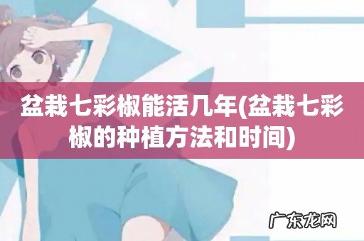 盆栽七彩椒的种植方法和时间 盆栽七彩椒能活几年