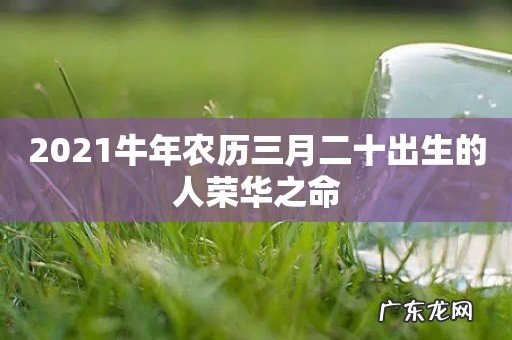 2021牛年农历三月二十出生的人荣华之命