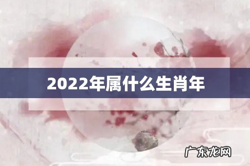 2022年属什么生肖年