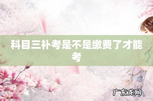 科目三补考是不是缴费了才能考