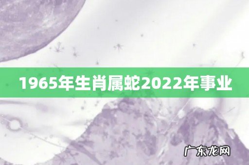 1965年生肖属蛇2022年事业