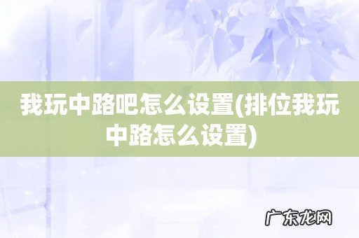 排位我玩中路怎么设置 我玩中路吧怎么设置