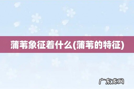 蒲苇的特征 蒲苇象征着什么