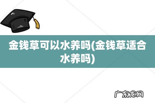 金钱草适合水养吗 金钱草可以水养吗